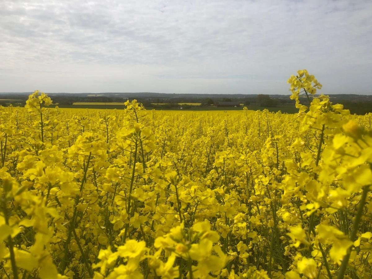 Rosloevs Gard Vackert Boende I En Naturskoen Miljoe. Flyinge ภายนอก รูปภาพ