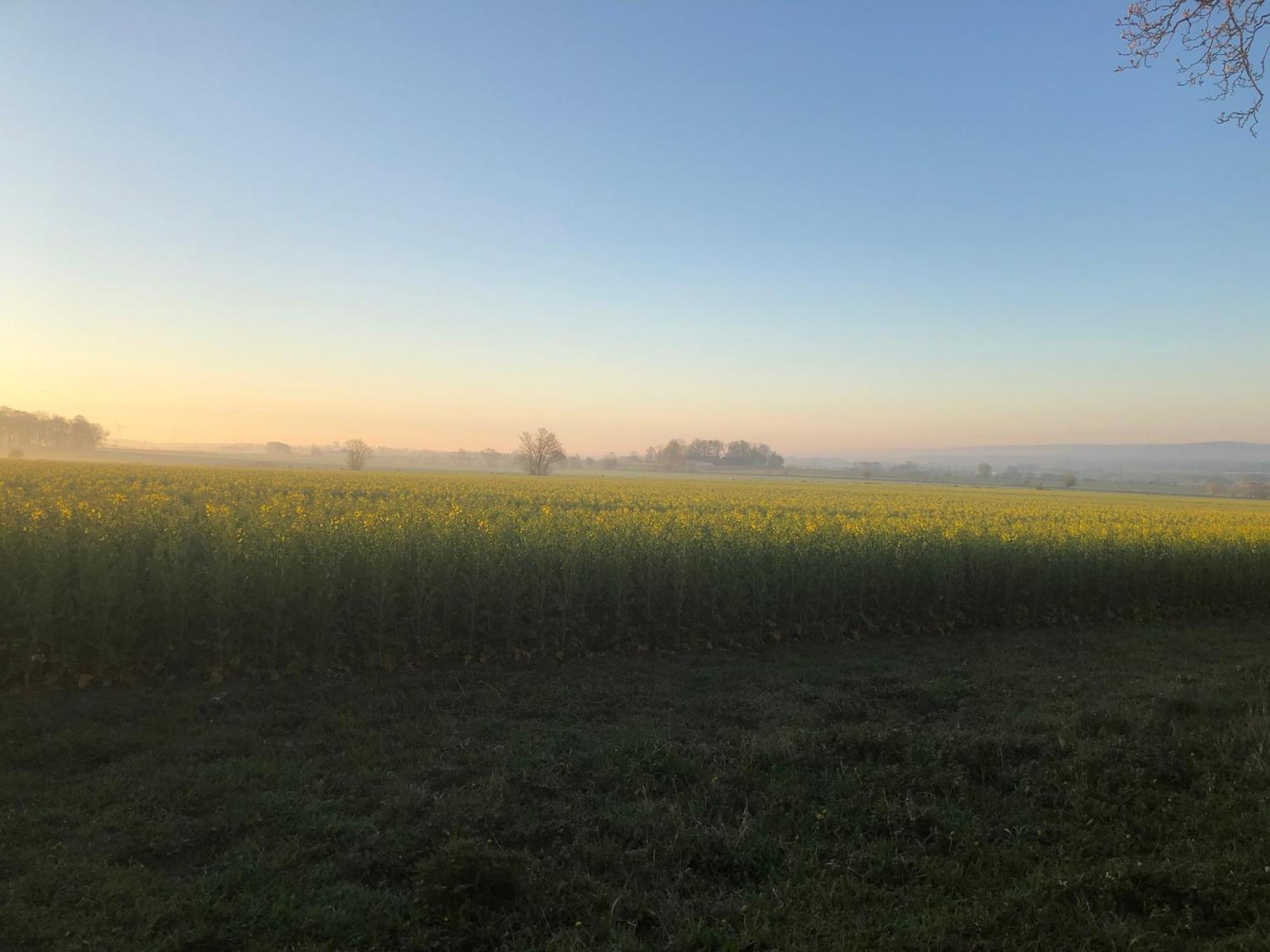 Rosloevs Gard Vackert Boende I En Naturskoen Miljoe. Flyinge ภายนอก รูปภาพ